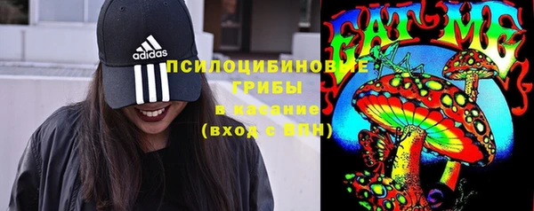 винт Абаза