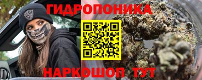 шишки Ярославль