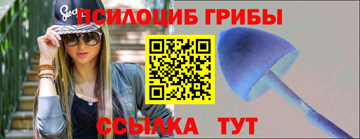 Стерлитамак  Псилоцибиновые грибы мухоморы  Вход с VPN 